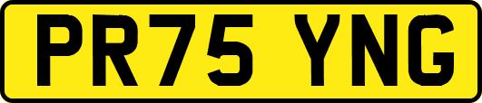 PR75YNG