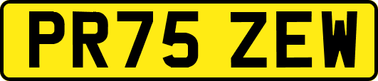 PR75ZEW