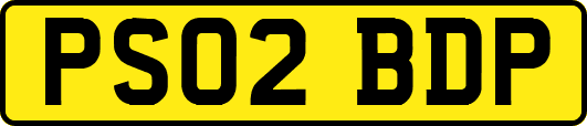 PS02BDP