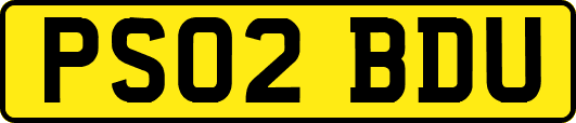 PS02BDU