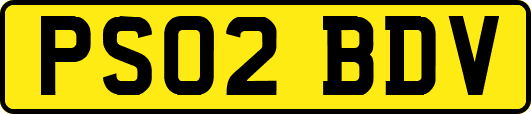 PS02BDV