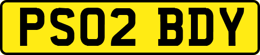 PS02BDY