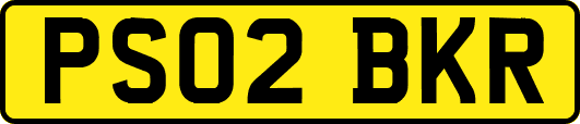PS02BKR