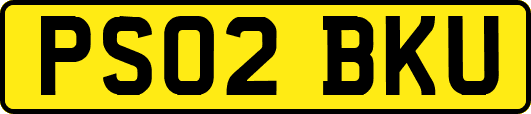 PS02BKU