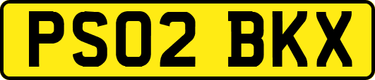 PS02BKX