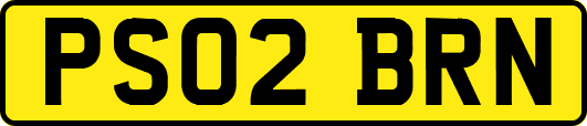 PS02BRN