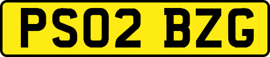 PS02BZG
