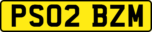 PS02BZM