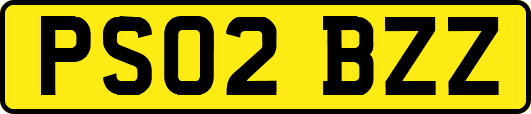 PS02BZZ