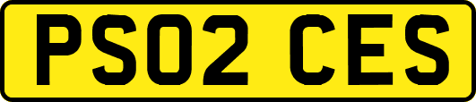 PS02CES