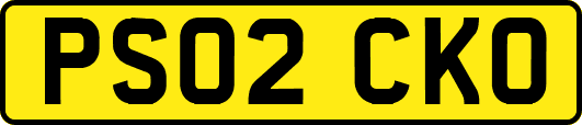 PS02CKO