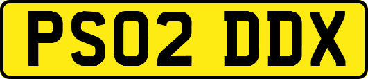 PS02DDX