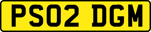 PS02DGM