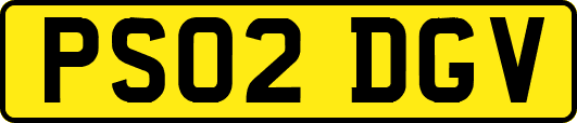 PS02DGV
