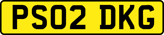 PS02DKG