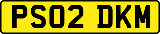 PS02DKM