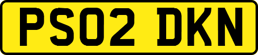 PS02DKN