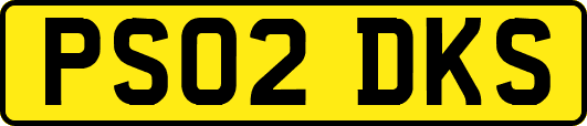 PS02DKS
