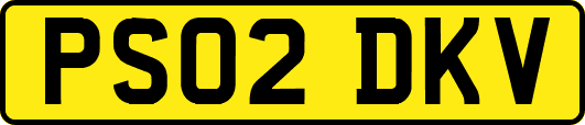 PS02DKV