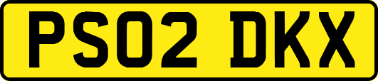 PS02DKX