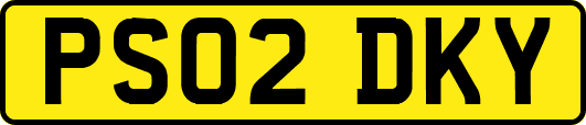 PS02DKY
