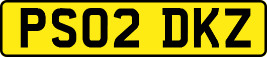 PS02DKZ
