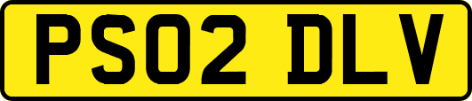 PS02DLV