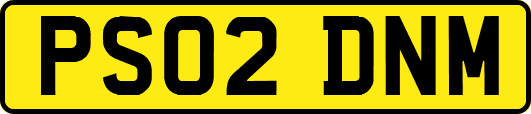PS02DNM