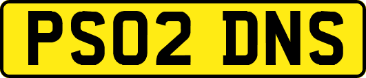 PS02DNS