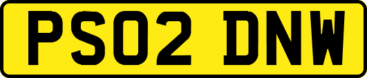 PS02DNW