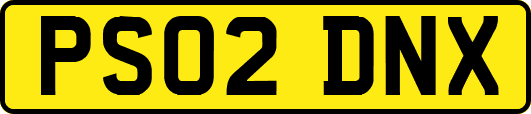 PS02DNX