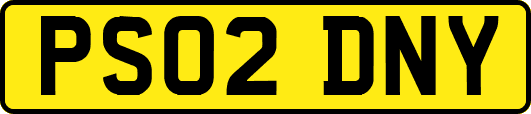 PS02DNY