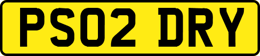 PS02DRY
