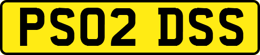 PS02DSS