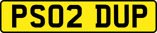 PS02DUP