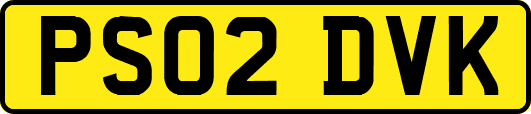PS02DVK