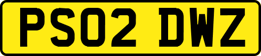 PS02DWZ