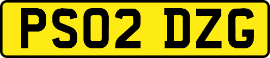 PS02DZG