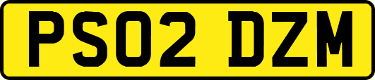 PS02DZM