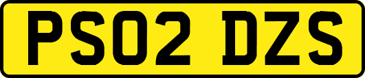 PS02DZS