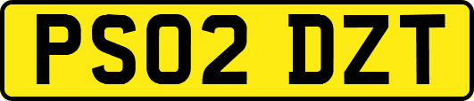 PS02DZT