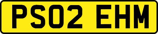 PS02EHM