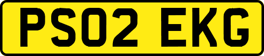 PS02EKG