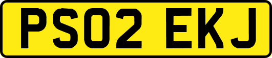 PS02EKJ