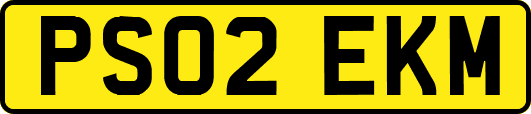 PS02EKM