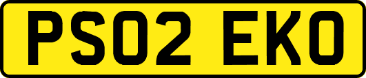 PS02EKO