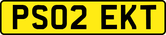 PS02EKT