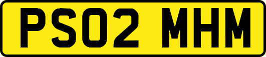 PS02MHM