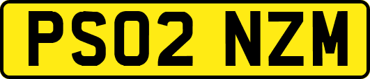PS02NZM
