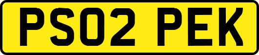 PS02PEK
